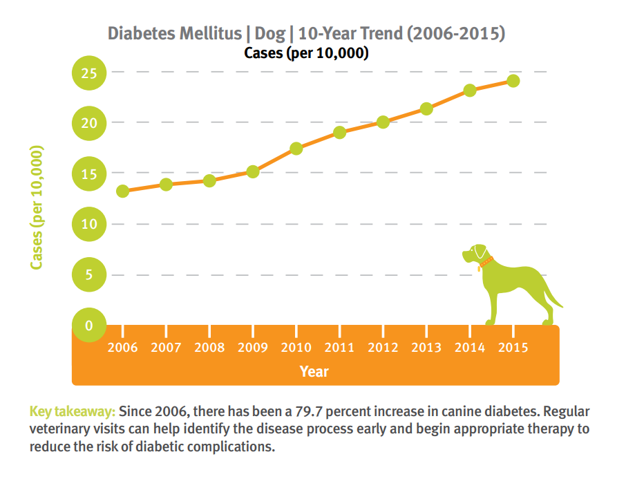 Diabetes trends for dogs